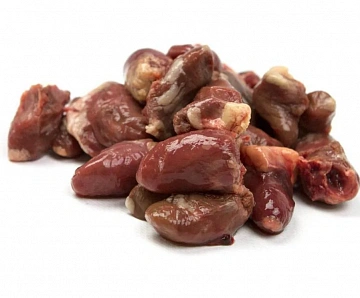 Фото Сердце вяхиря