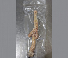 Половой орган самца лося (без шерсти)