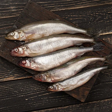 Фото Корюшка балтийская (Питерская) 15-20 см свежемороженая 