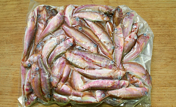 Фото Барабуля черноморская 9-14