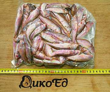 Фото Барабуля черноморская 8-10