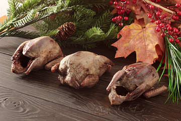 Фото Вальдшнеп(без пера)осенний