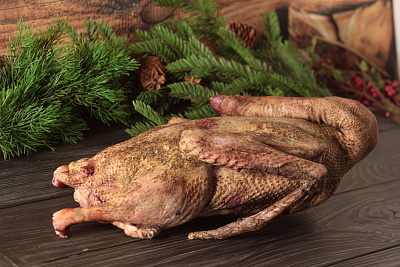 Превью Гусь (дикий) весенний