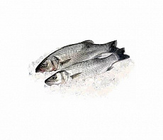 Сибас свежемороженый непотрошёный с головой (300-400 г)