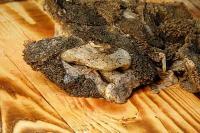 Превью Желудок северного оленя (не очищенный, резанный)